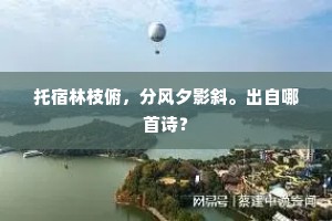 托宿林枝俯，分风夕影斜。出自哪首诗？