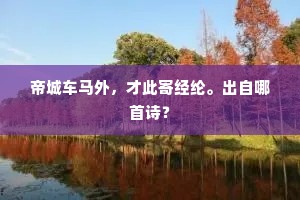 帝城车马外，才此寄经纶。出自哪首诗？