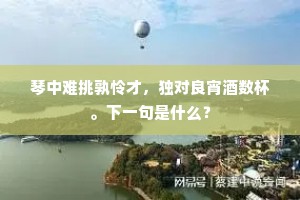 琴中难挑孰怜才，独对良宵酒数杯。下一句是什么？