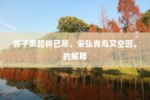苏子黑貂将已尽，宋弘青鸟又空回。的解释