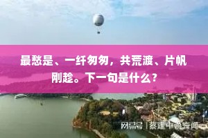 最愁是、一纤匆匆，共荒渡、片帆刚趁。下一句是什么？