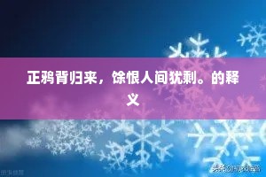 正鸦背归来，馀恨人间犹剩。的释义