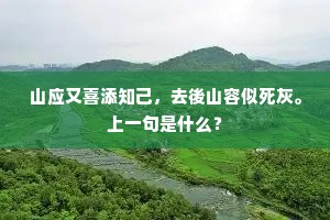 山应又喜添知己，去後山容似死灰。上一句是什么？