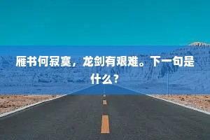 雁书何寂寞，龙剑有艰难。下一句是什么？