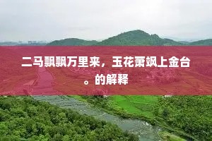 二马飘飘万里来，玉花萧飒上金台。的解释