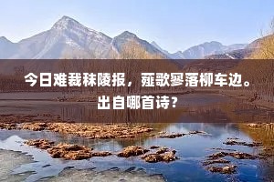 今日难裁秣陵报，薤歌寥落柳车边。出自哪首诗？
