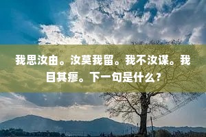 我思汝由。汝莫我留。我不汝谋。我目其瘳。下一句是什么？