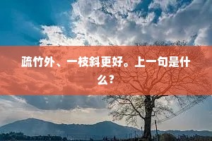 疏竹外、一枝斜更好。上一句是什么？