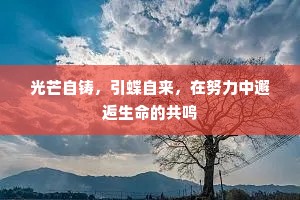 光芒自铸，引蝶自来，在努力中邂逅生命的共鸣