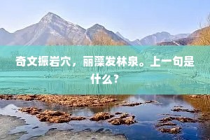 奇文振岩穴，丽藻发林泉。上一句是什么？