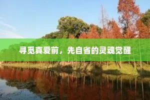 寻觅真爱前，先自省的灵魂觉醒