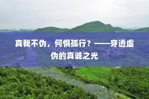 真我不伪，何惧孤行？——穿透虚伪的真诚之光