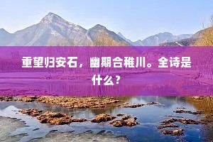 重望归安石，幽期合稚川。全诗是什么？