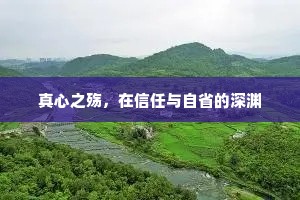 真心之殇，在信任与自省的深渊