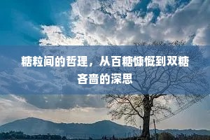 糖粒间的哲理，从百糖慷慨到双糖吝啬的深思