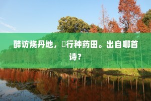 醉访烧丹地，閒行种药田。出自哪首诗？