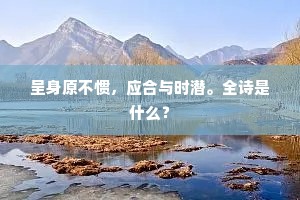 呈身原不惯，应合与时潜。全诗是什么？