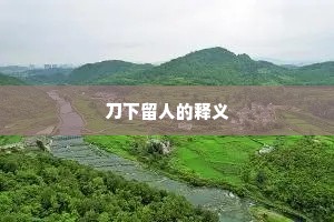 刀下留人的释义