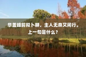 华盖峰前拟卜耕，主人无奈又闲行。上一句是什么？