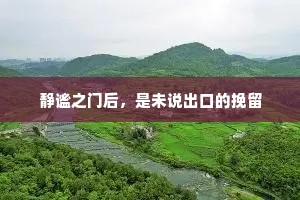 静谧之门后，是未说出口的挽留
