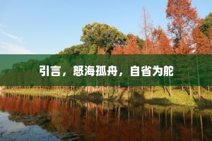 引言，怒海孤舟，自省为舵