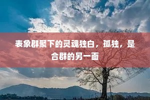 表象群聚下的灵魂独白，孤独，是合群的另一面