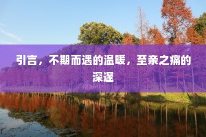 引言，不期而遇的温暖，至亲之痛的深邃