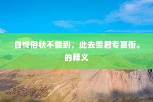 自怜俗状不能到，此去羡君专宴衙。的释义