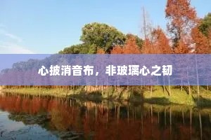 心披消音布，非玻璃心之韧