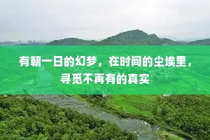 有朝一日的幻梦，在时间的尘埃里，寻觅不再有的真实