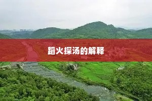 蹈火探汤的解释