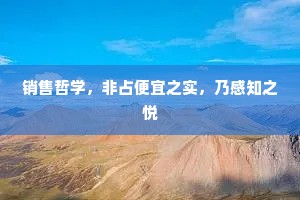 销售哲学，非占便宜之实，乃感知之悦