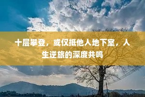 十层攀登，或仅抵他人地下室，人生逆旅的深度共鸣