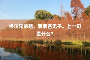 惨尔兄弟殂，茕茕各无子。上一句是什么？