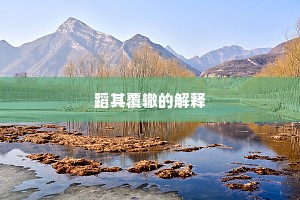 蹈其覆辙的解释