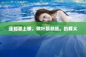 遥知湖上楼，败叶飘故纸。的释义