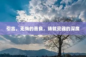 引言，无悔的善良，铸就灵魂的深度