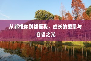 从都怪你到都怪我，成长的重量与自省之光