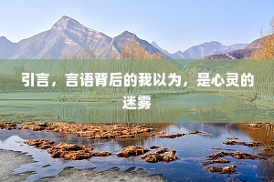 引言，言语背后的我以为，是心灵的迷雾