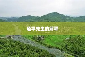 道学先生的解释