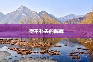 得不补失的解释