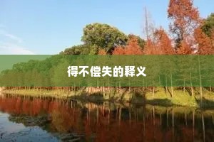 得不偿失的释义