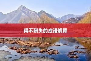 得不酬失的成语解释