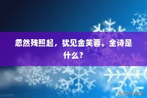 忽然残照起，犹见金芙蓉。全诗是什么？
