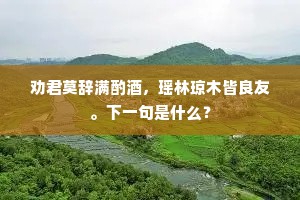 劝君莫辞满酌酒，瑶林琼木皆良友。下一句是什么？