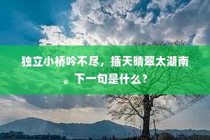 独立小桥吟不尽，插天晴翠太湖南。下一句是什么？