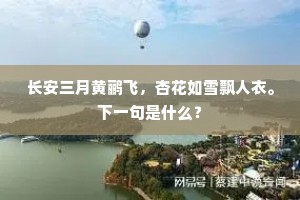 长安三月黄鹂飞，杏花如雪飘人衣。下一句是什么？