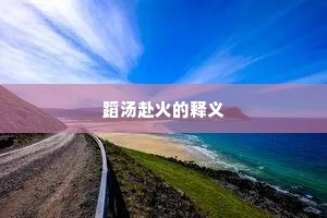 蹈汤赴火的释义