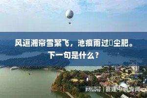 风逗湘帘雪絮飞，池痕雨过麹尘肥。下一句是什么？
