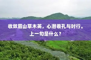 收敛眉山草木英，心潜羲孔与时行。上一句是什么？